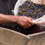 Wie moderne Technologie die Weinherstellung beeinflusst